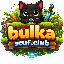 BulkaServer