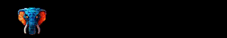 SLON SERVER