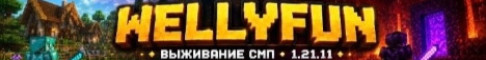 wellyfun